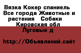 Вязка Кокер спаниель - Все города Животные и растения » Собаки   . Кировская обл.,Луговые д.